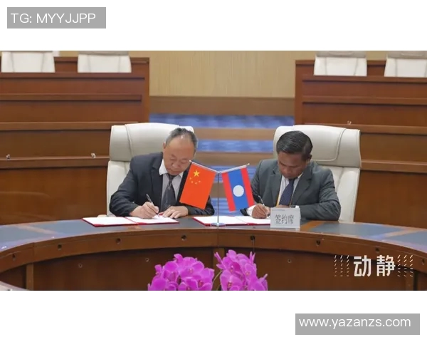 陈敏独家分享飞盘心得与技巧助你提升水平与乐趣